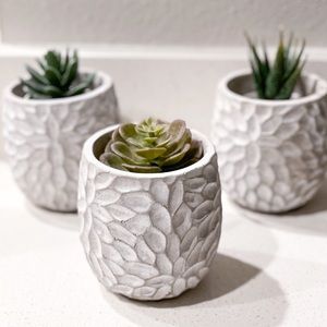 Set of 3 vase with free cactuses that I matched with them from Anthropology.